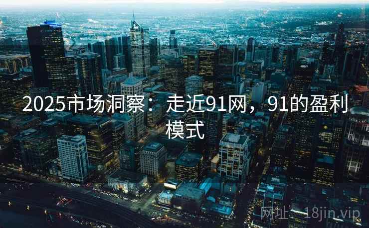 2025市场洞察：走近91网，91的盈利模式  第2张