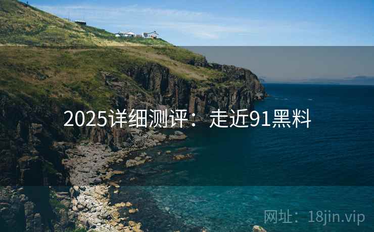 2025详细测评：走近91黑料
