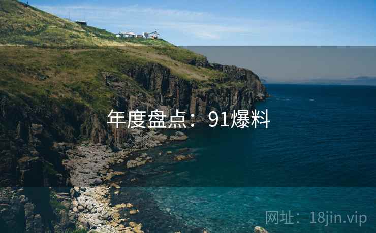 年度盘点:91爆料