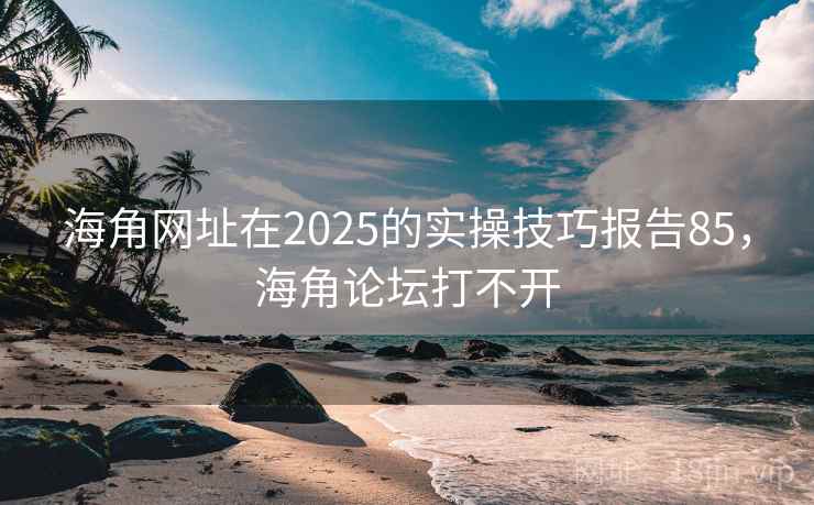 海角网址在2025的实操技巧报告85，海角论坛打不开