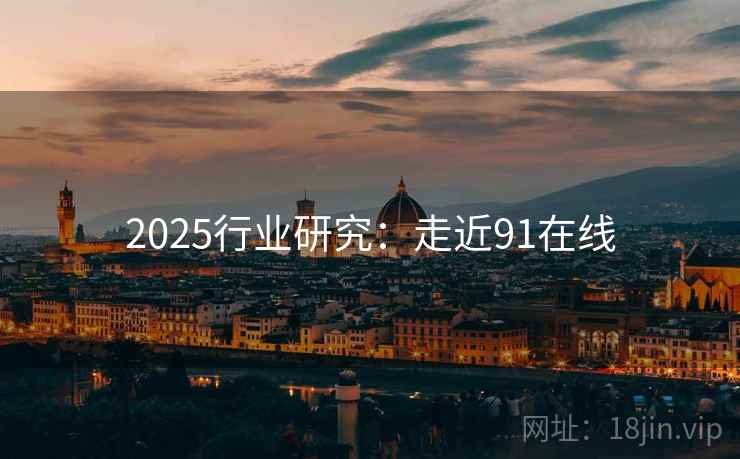 2025行业研究：走近91在线