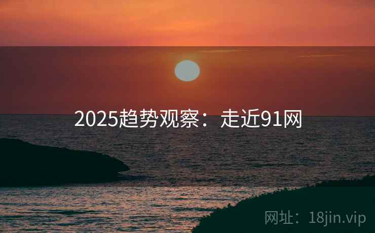 2025趋势观察:走近91网