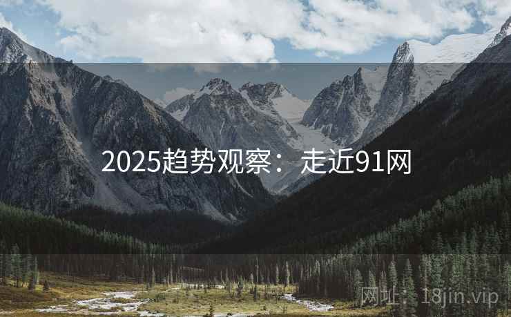2025趋势观察:走近91网