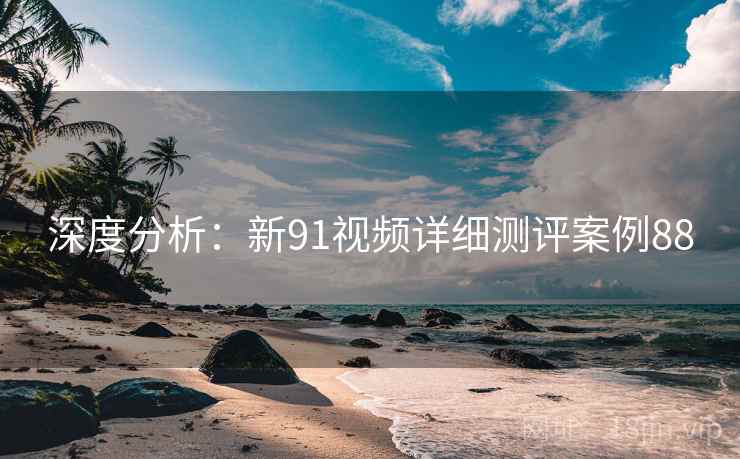 深度分析:新91视频详细测评案例88