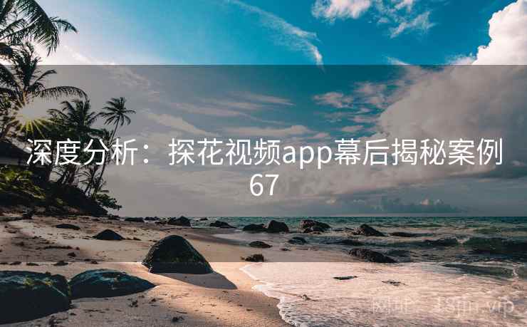 深度分析：探花视频app幕后揭秘案例67